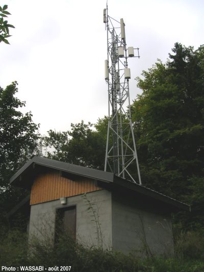 74bernex1.jpg