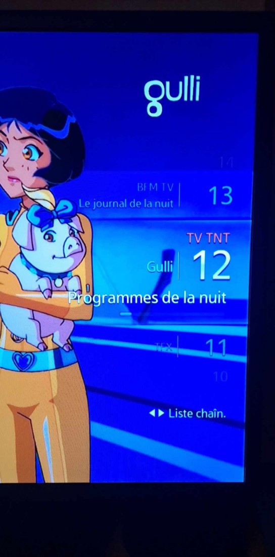 12 Gulli.jpg