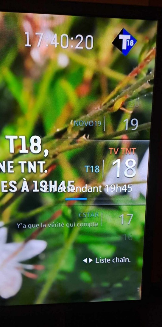 18 T18.jpg