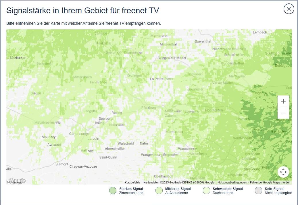Fläche.jpg