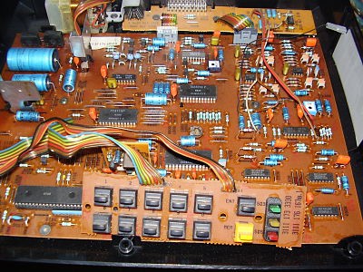 P3130001_opt.jpg