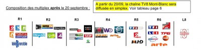 MULTIPLEX1.jpg