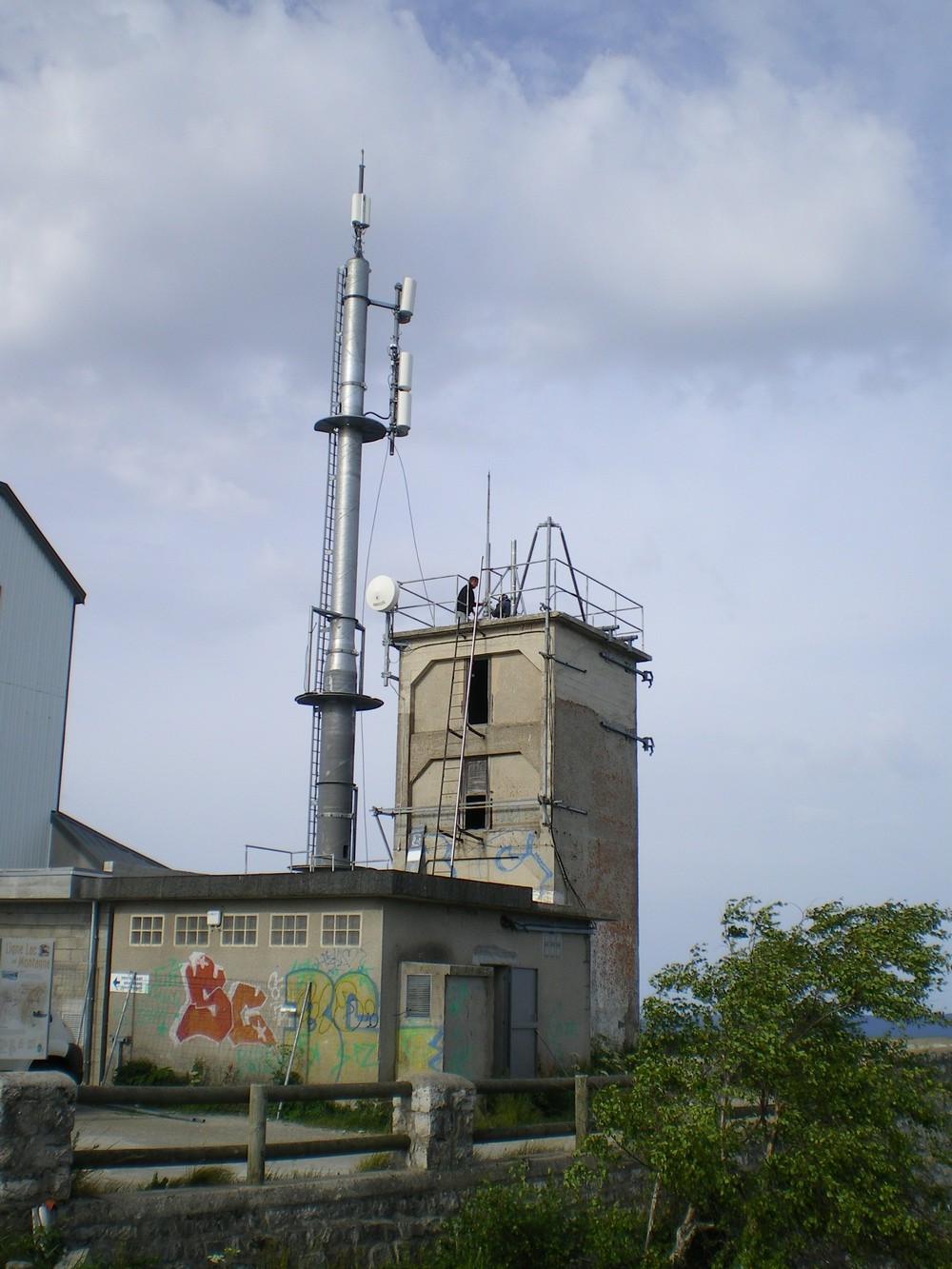 IMGP0981.JPG