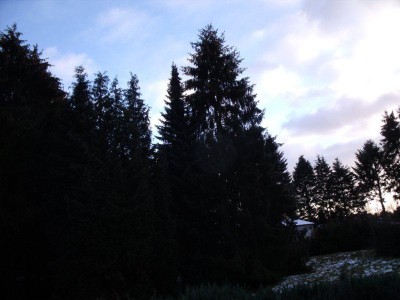 DSCF3968.jpg