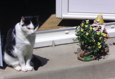 Catou 15 Mai 2011 2.JPG