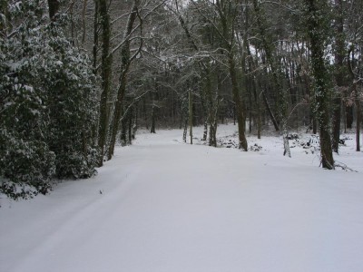 IMG_4835b.jpg