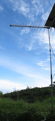 IMG_2361-.JPG