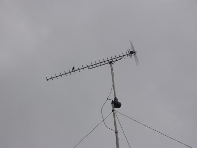 ANTENNE UHF.JPG
