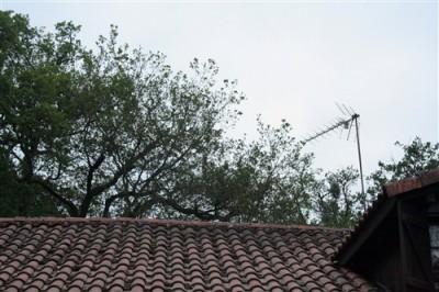 IMG_8076.JPG