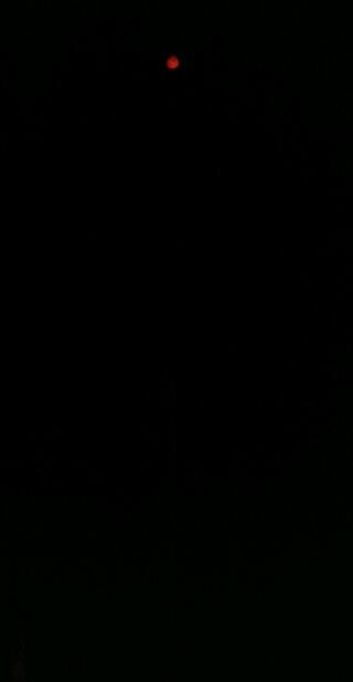 2011-11-19 19.40.00-1.jpg
