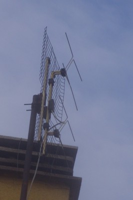 SS851895.JPG