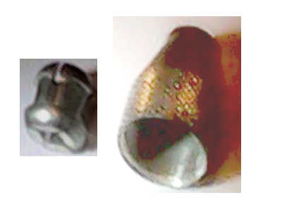FICHE E.jpg