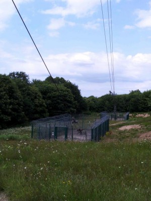 2012-06-30 17.30.00-1.jpg