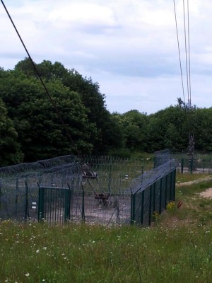 2012-06-30 17.29.09-1.jpg