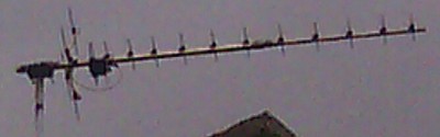 IMG_20130509_131427-1307493303.jpg