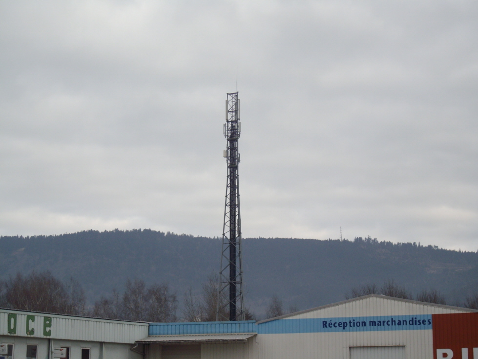 IMGP0610.jpg