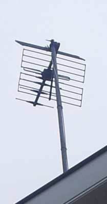 20130619_0830291.jpg