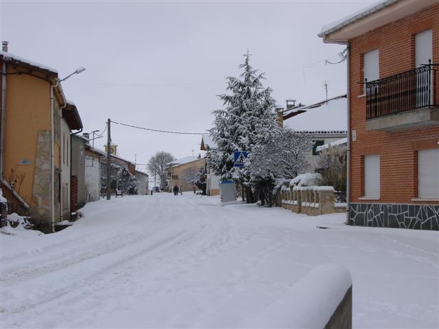 DSC02396 (Small).JPG