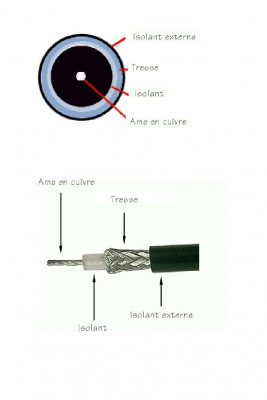 COAXIAL tecno.jpg