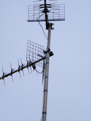 DSCF2210.jpg