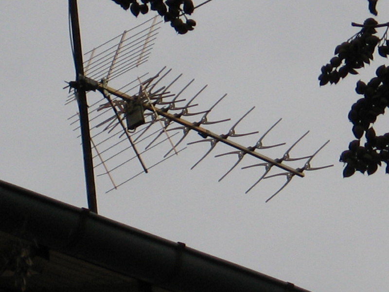 IMG_4000_1.JPG