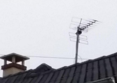 20140908_193702.jpg